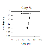LP74 Clay