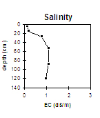 LP75 Salinity