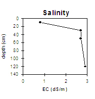 LP76 Salinity