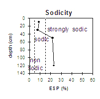 LP76 Sodicity