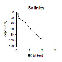LP77 Salinity