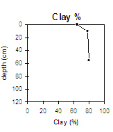 LP78 Clay