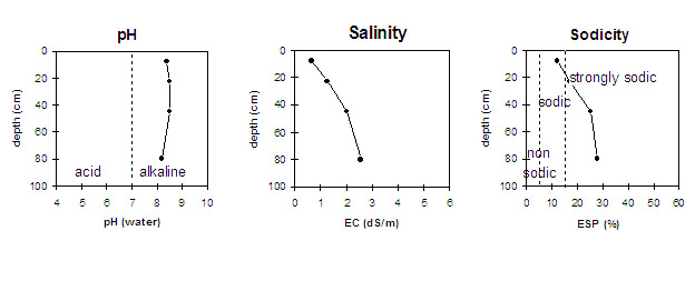 Graph: Sodicity levels in Site LP8