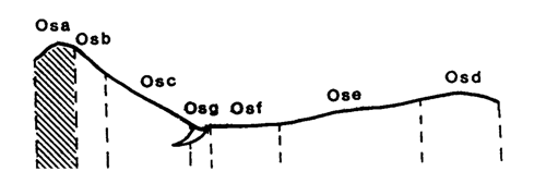 Land-form diagram for Marong map unit Osa