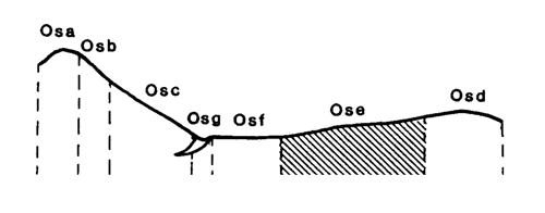 Land-form diagram for Marong map unit Ose
