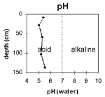 GRAPH: Soil site GP20 pH