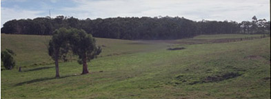 Image: GP79 landscape
