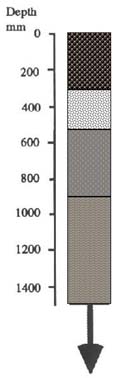 IMAGE: Koo Wee Rup typical soil profile