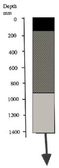 IMAGE: Dalmore Clay (heavy surface) typical soil profile