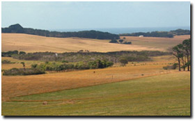 Photo: Rolling low hills in the Flinders mapping unit