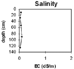 GRAPH: Soil Site GP21 Salinity