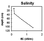 GRAPH: Soil Site GP24 Salinity