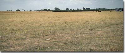 PHOTO: Soil Site GP24 Landscape