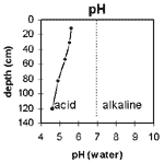 GRAPH: Soil Site GP26 pH