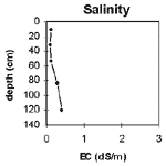 GRAPH: Soil Site GP26 Salinity