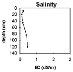 GRAPH: Soil Site GP27 Salinity graph