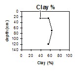 GP53 clay