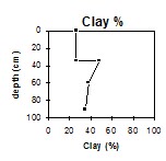 GP54 Clay