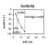 GP54 Sodicity