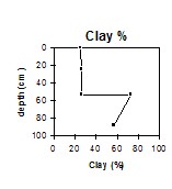 GP57 clay