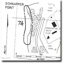PP74. Schnapper Point - Baxter Sandstone