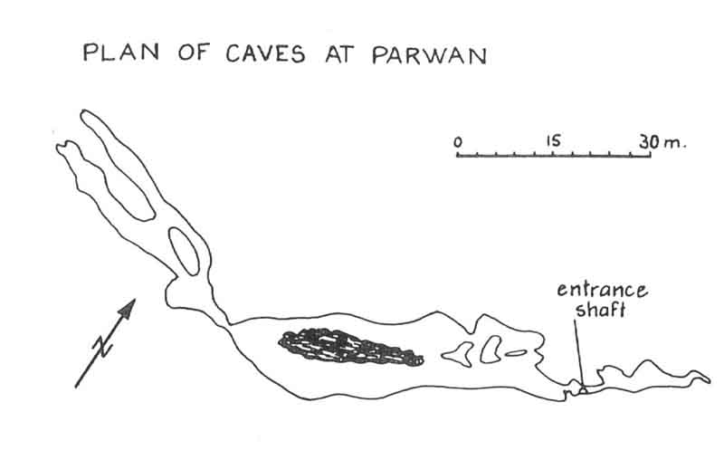 L13 Parwan