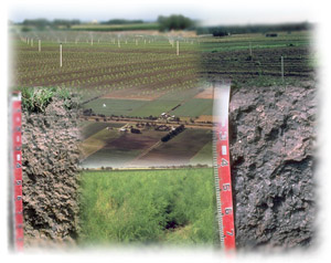 Image:  Detailed Soil Surveys Montage