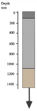 IMAGE: Sandy Ridge typical soil profile