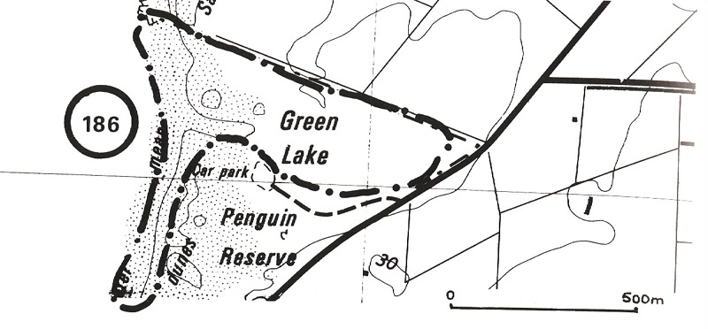 186 Green Lake - swamp and dunes