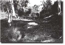 Image: Upper Yarra Sites of Significance