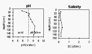 Image: Graph pH/Salinity