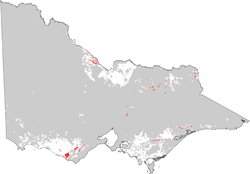 map showing distribution of kandosols in dariy