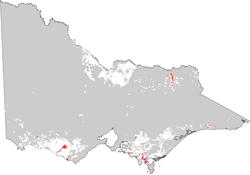 map showing distribution of kuroosols in dariy