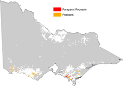 map showing distribution of podosols in dariy
