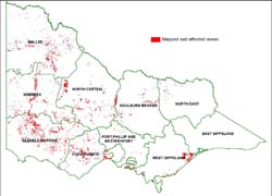 Distribution of mapped dryland salinity in Victoria 2007
