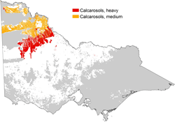 distribution map of calcarosols in grain growing regions