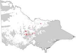 distribution map of ferrosols in grain growing regions