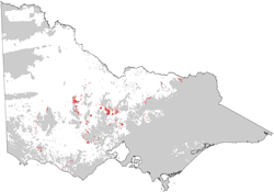 distribution map of kurosols in grain growing regions
