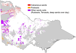 distribution map of sandy soils in grain growing regions