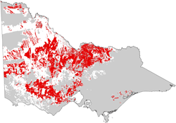 distribution map of sodosols in grain growing regions