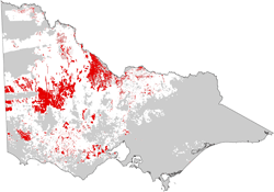 distribution map of vertosols in grain growing regions