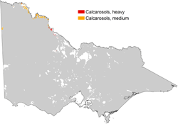 thumbnail map of distribution of calcarosols in horticulture