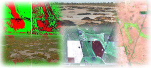 Image:  Hyperspectral montage