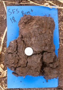 Image:  SFS 18 subsoil peds