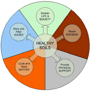 Healthy Soils Wheel
