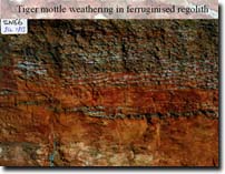 Photo: Tiger mottle weathering in ferruginised regolith