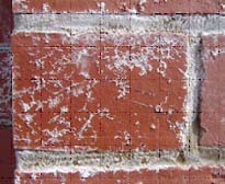Small salt crystals forming on bricks and in mortar joints. This can lead to breakdown of mortar.