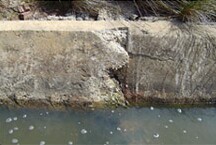 The breakdown of the concrete occurs most noticeably at a point of weakness - a join in the concrete drain. Located in a salinity discharge area, the drain is likely to suffer from accelerated weathering and damage.