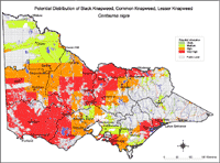 Map: Potential distribution of Black Knapweed
