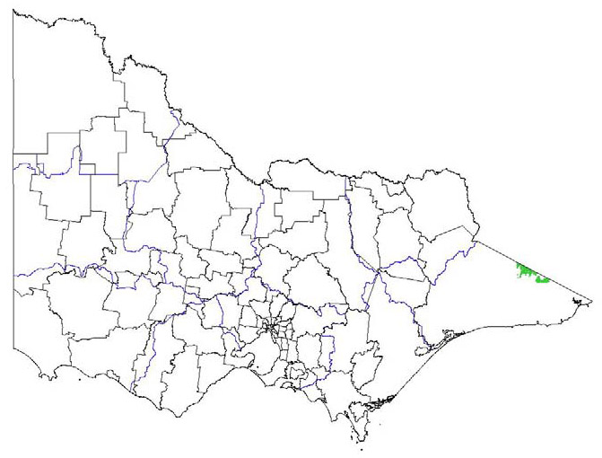 map showing the potential distribution of pom pom weed